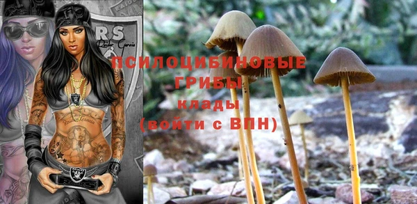 крисы Киреевск