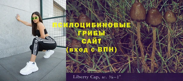 гидра Кинешма