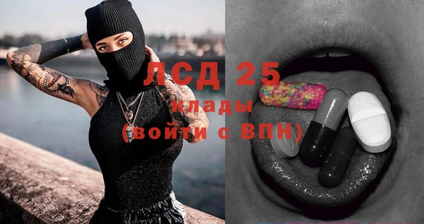 гидра Кинешма