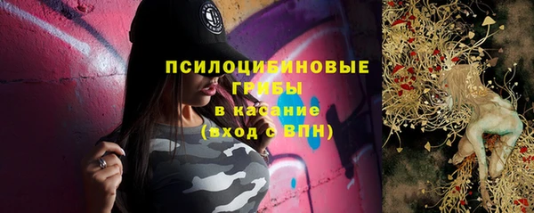 крисы Киреевск