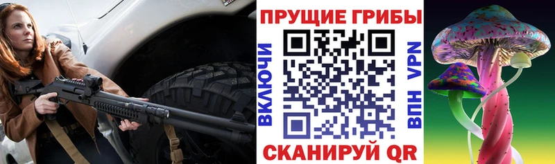 даркнет телеграм  где продают наркотики  Нязепетровск  Псилоцибиновые грибы Magic Shrooms  кракен ONION 